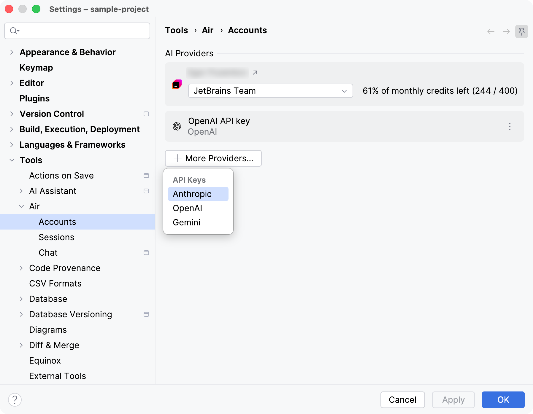 Accounts settings with a configured OpenAI API key entry and the More Providers popup listing the available API key types. Accounts settings with a configured OpenAI API key entry and the More Providers popup listing the available API key types.