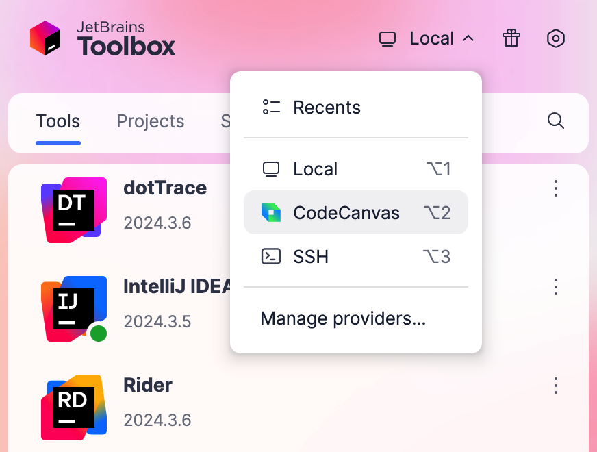 CodeCanvas in JetBrains Toolbox