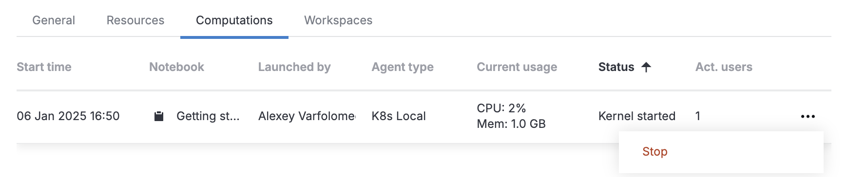 Stopping a computation