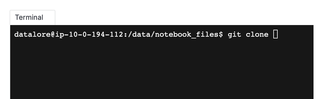 Terminal in Datalore notebooks