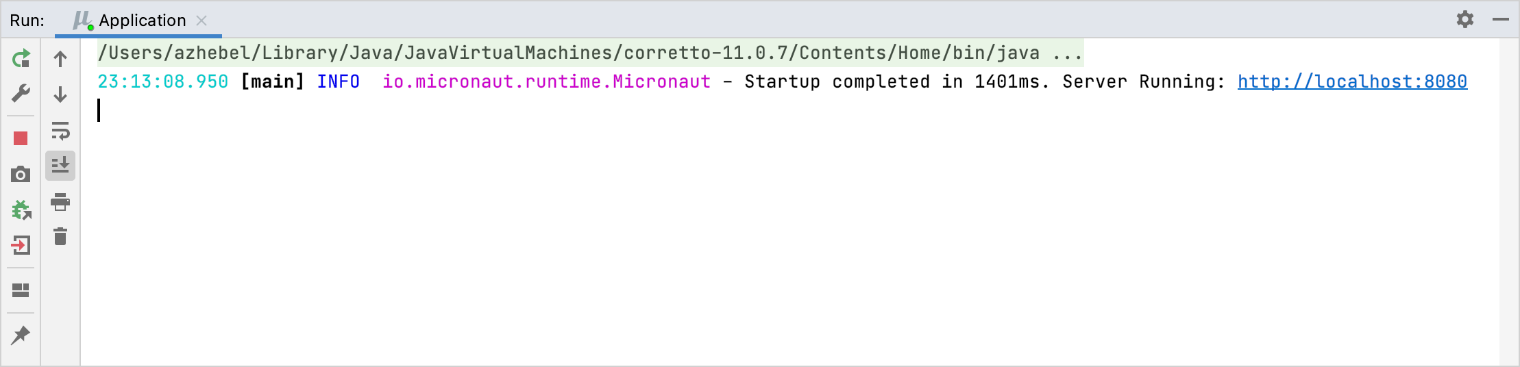Micronaut application running in the Run tool window Micronaut application running in the Run tool window