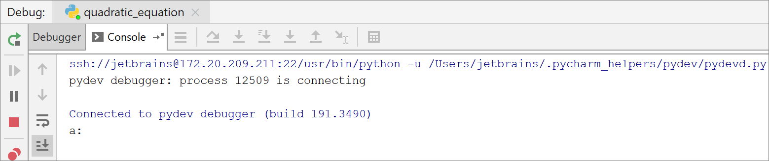 Debugging on the remote server Debugging on the remote server