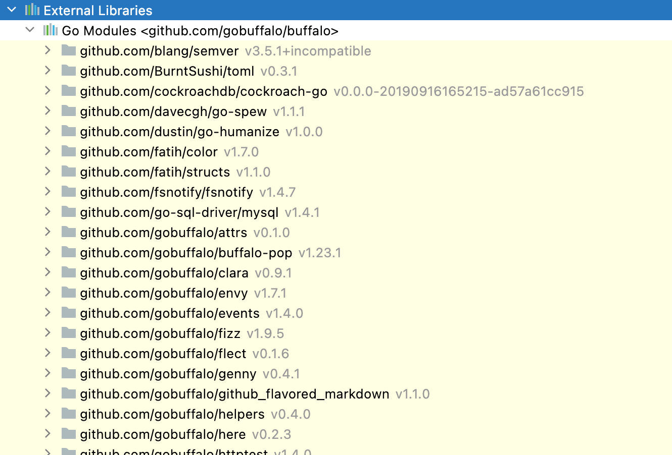 Go Module is shown in a dimmed font color Go Module is shown in a dimmed font color