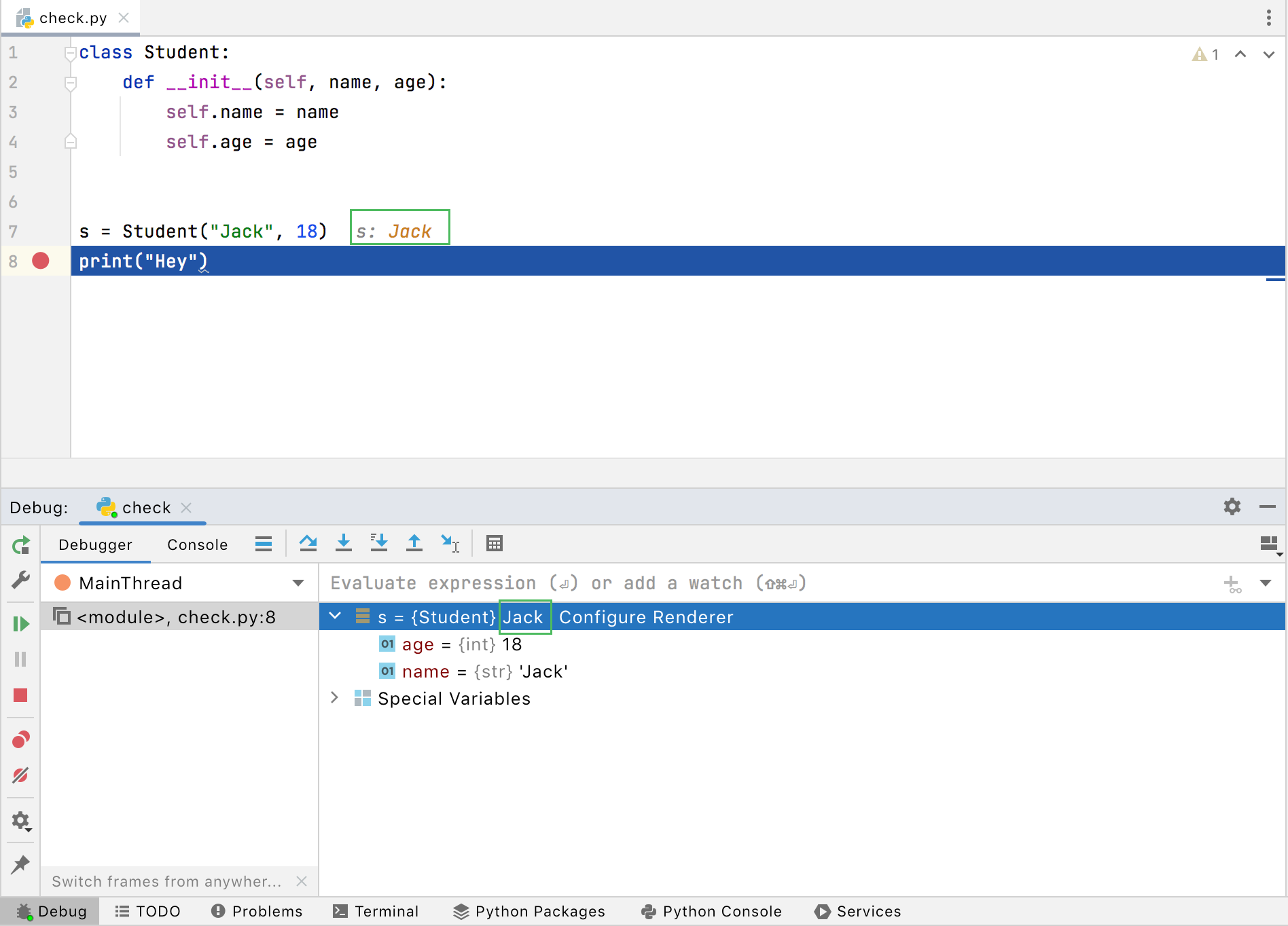 Type renderers are applied Type renderers are applied