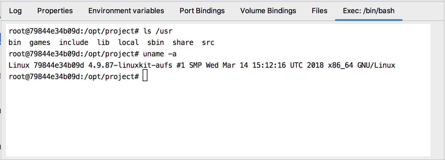 The Exec tab with /bin/bash running The Exec tab with /bin/bash running