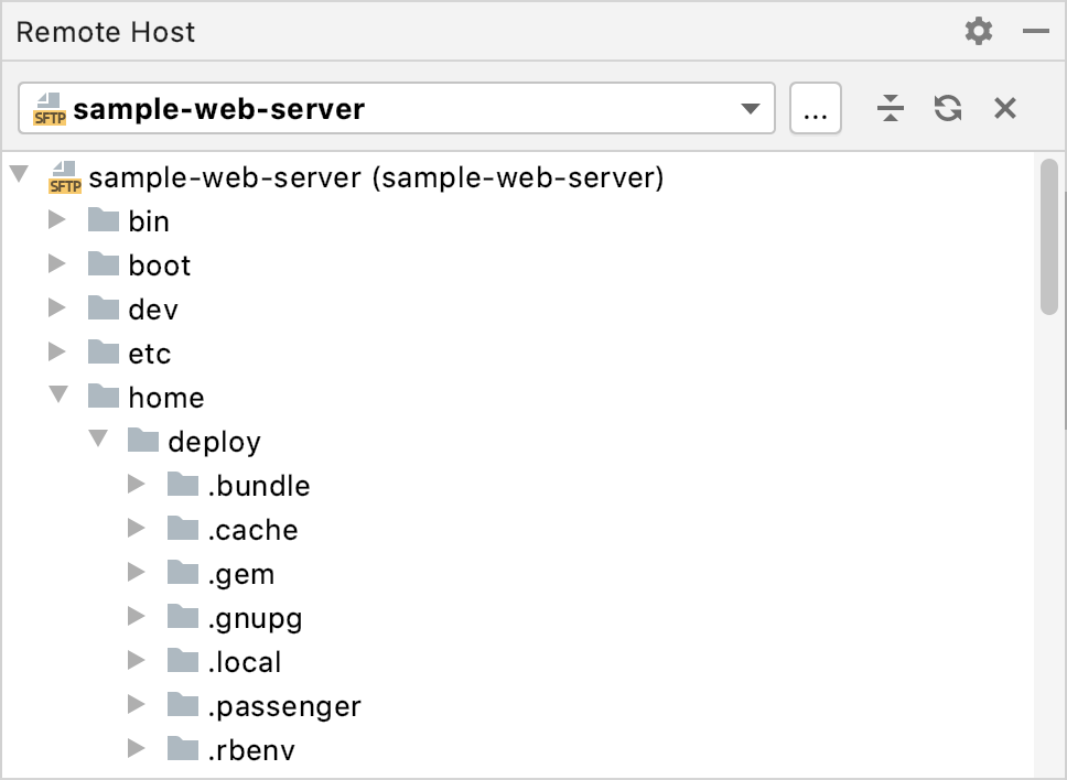 Remote Host Remote Host