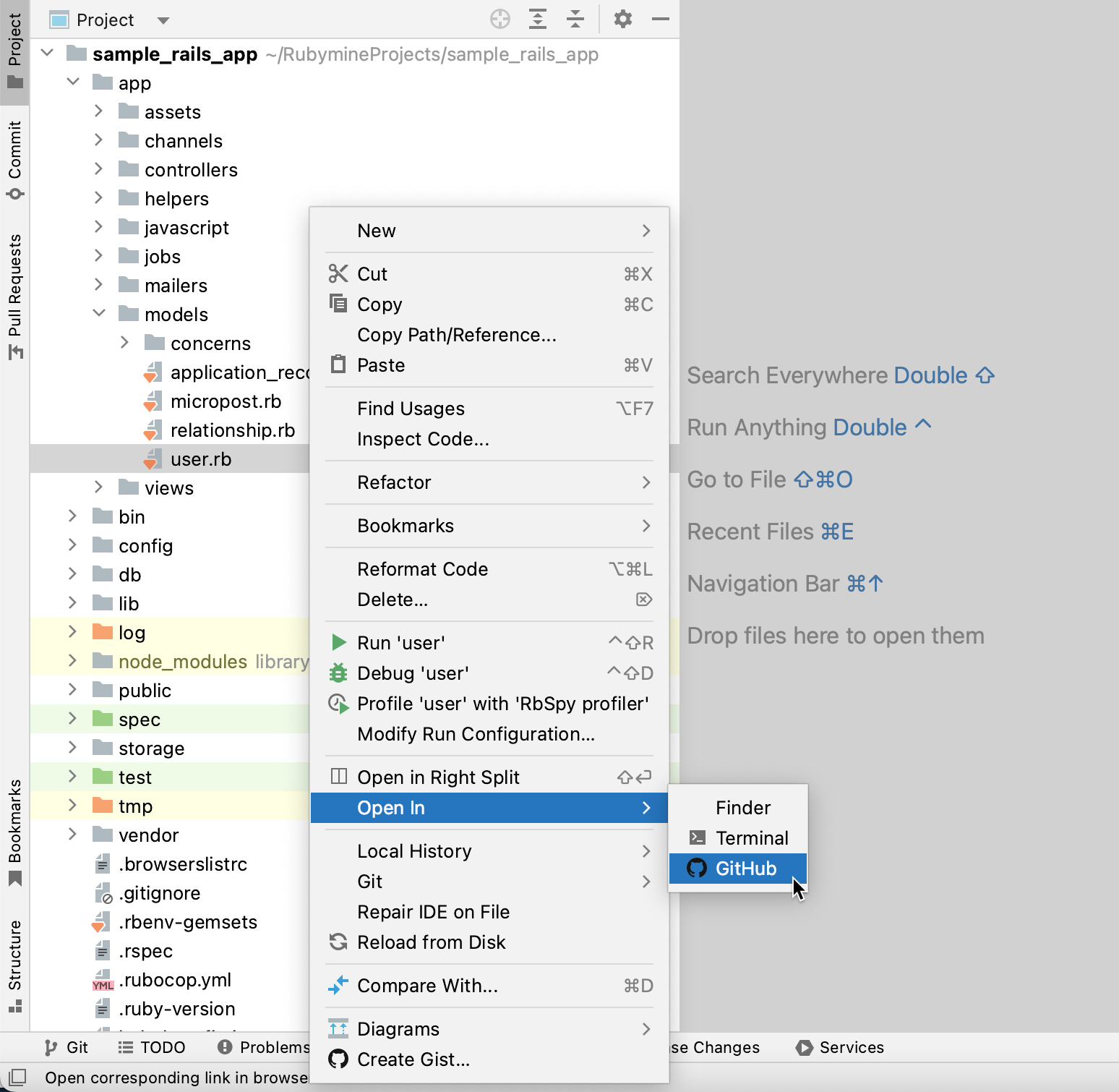 Opening the GitHub version of the file Opening the GitHub version of the file