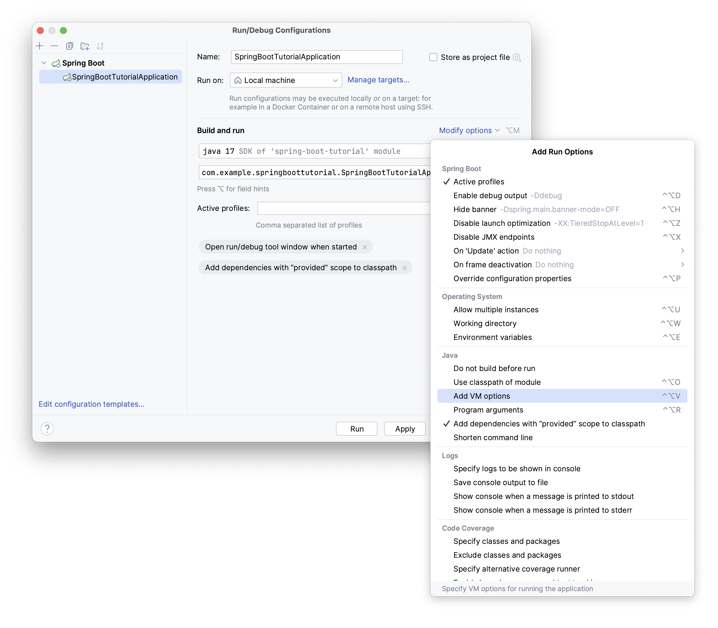 Modify options of a Spring Boot run configuration