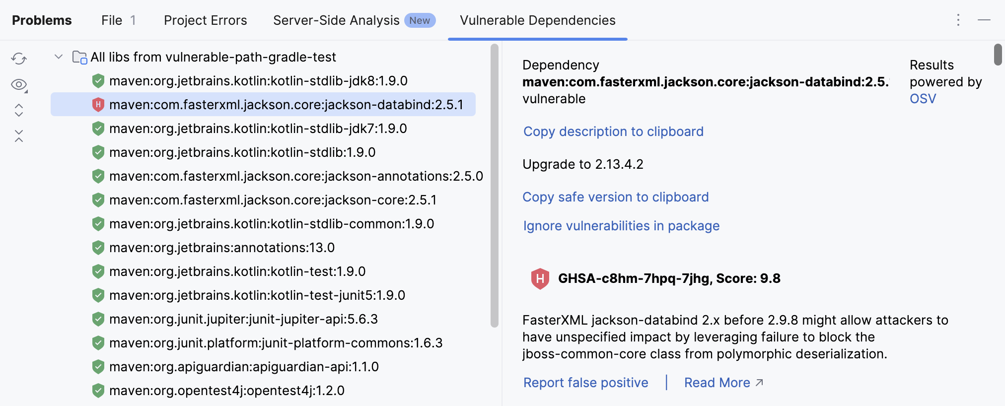 Vulnerable Dependencies