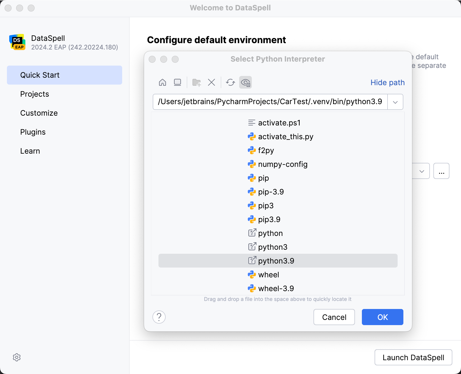 Select an existing virtualenv environment