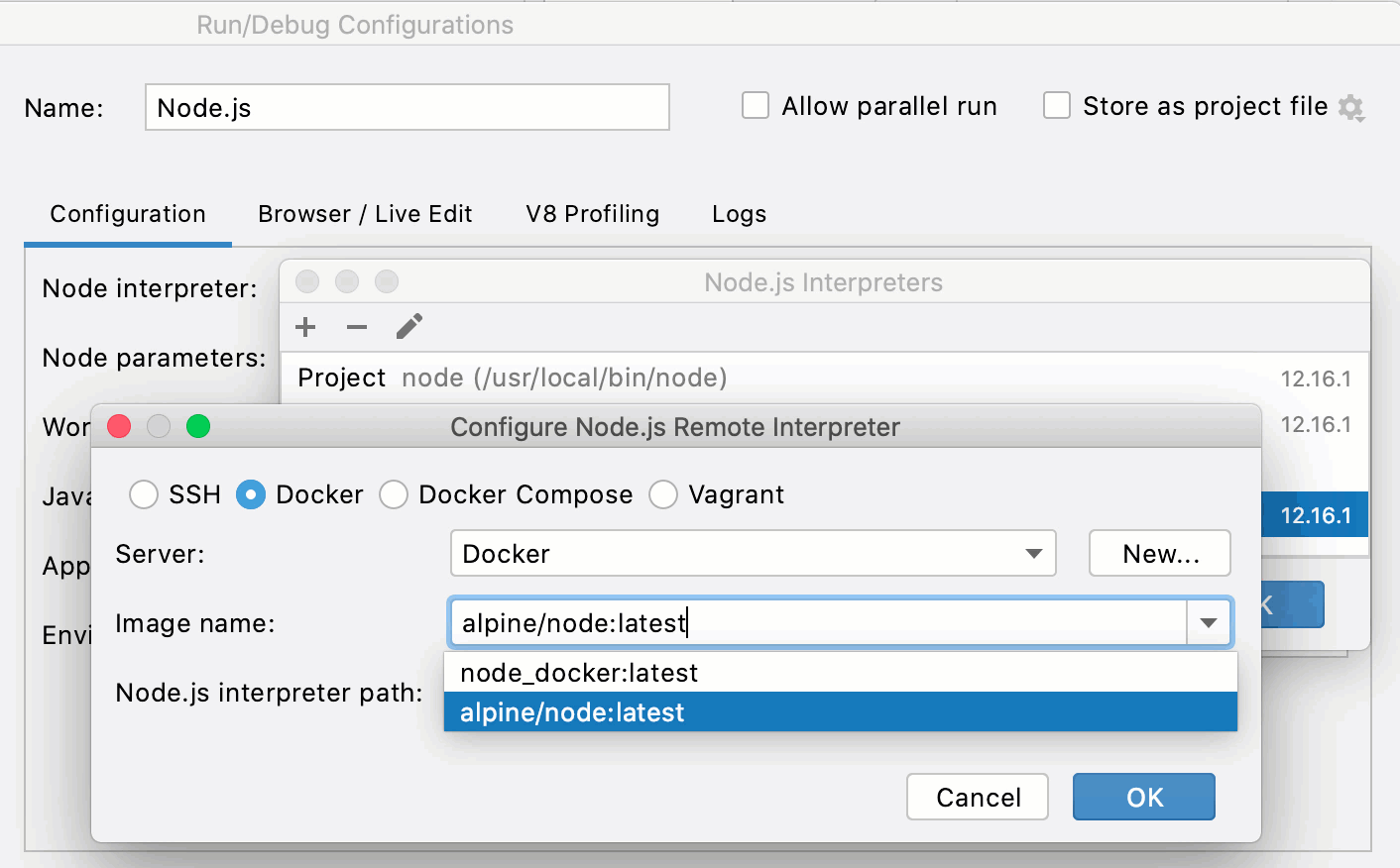 Configuring a remote Node.js interpreter on Docker