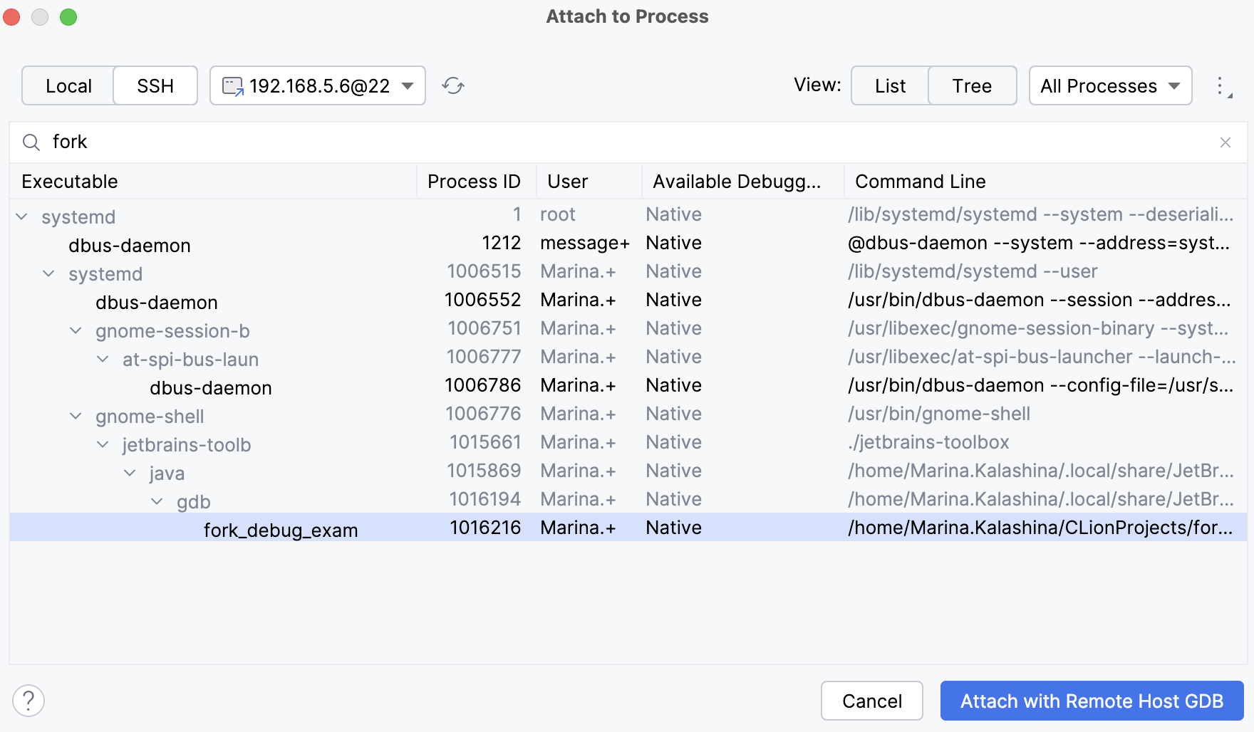 正在附加到远程进程