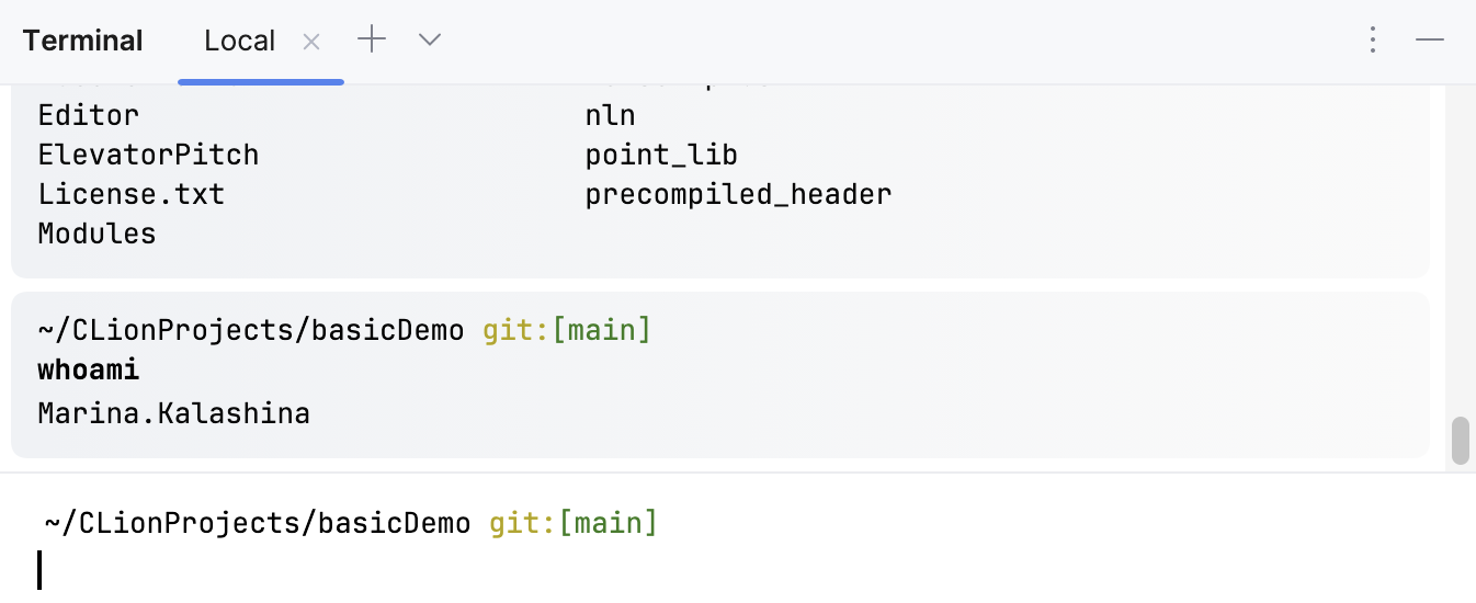 终端中的新会话 终端中的新会话