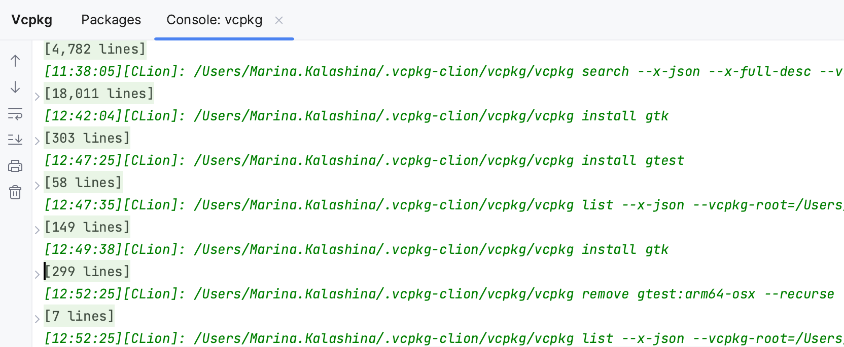 Vcpkg 控制台选项卡