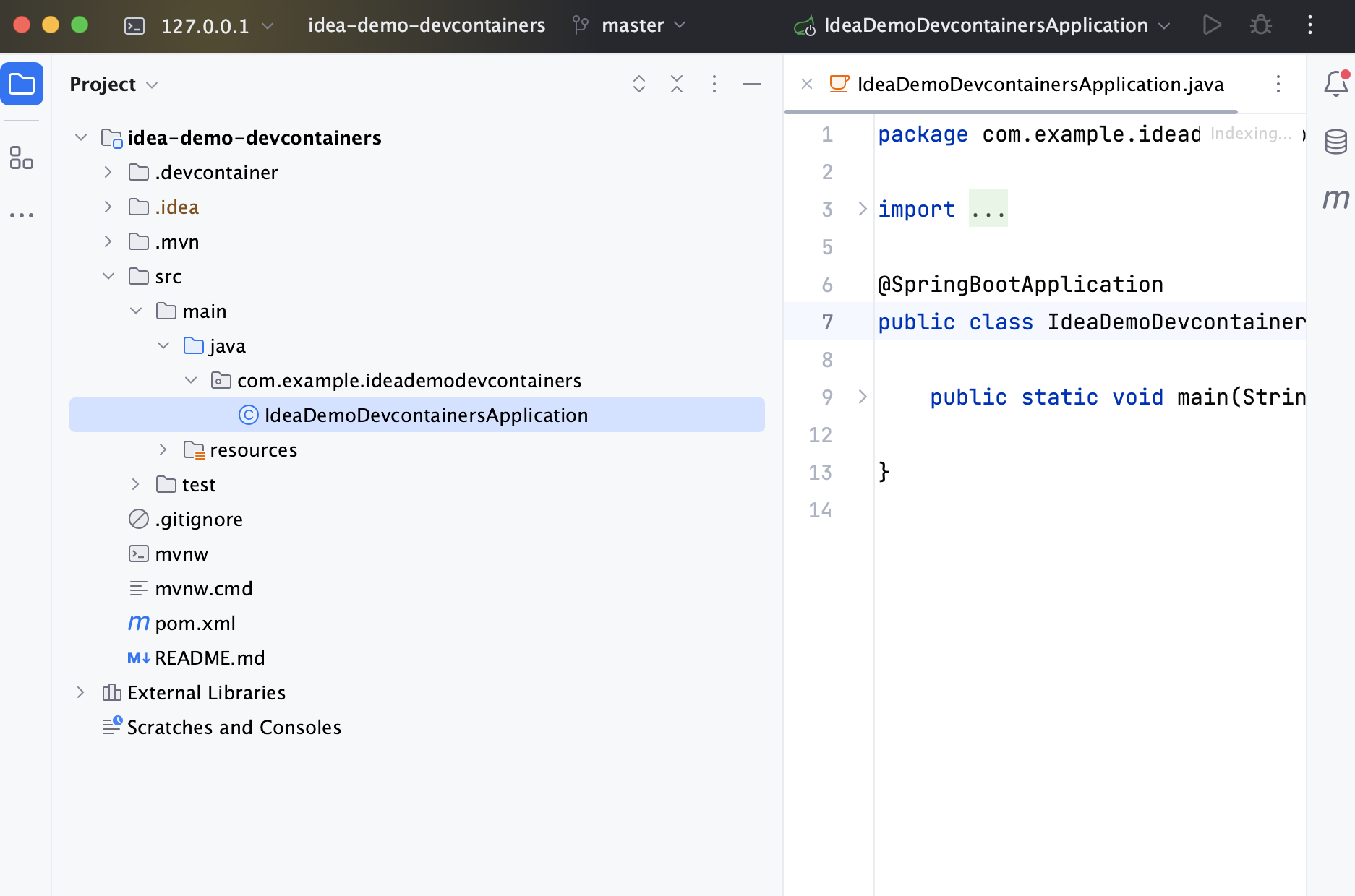 在开发容器中的项目