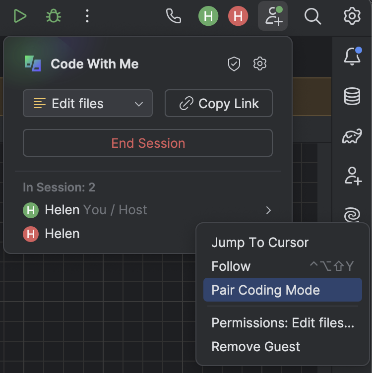 Getting started with Code With Me | IntelliJ IDEA Documentation