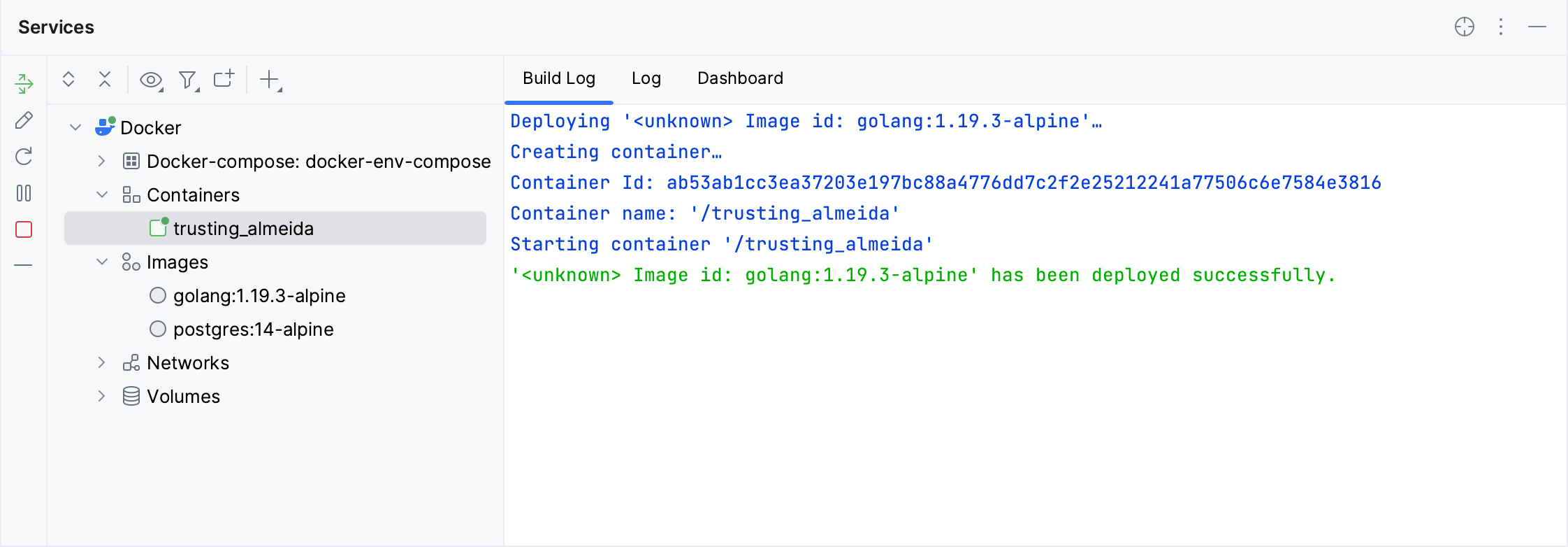 在服务工具窗口中选择的容器的构建日志选项卡 在服务工具窗口中选择的容器的构建日志选项卡