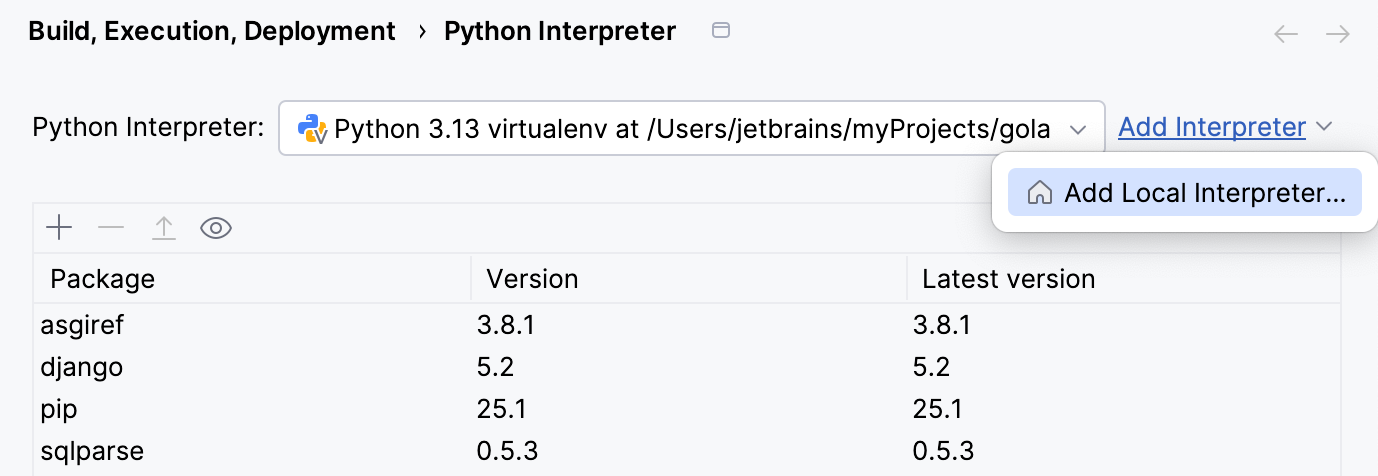 Interpreter path Interpreter path