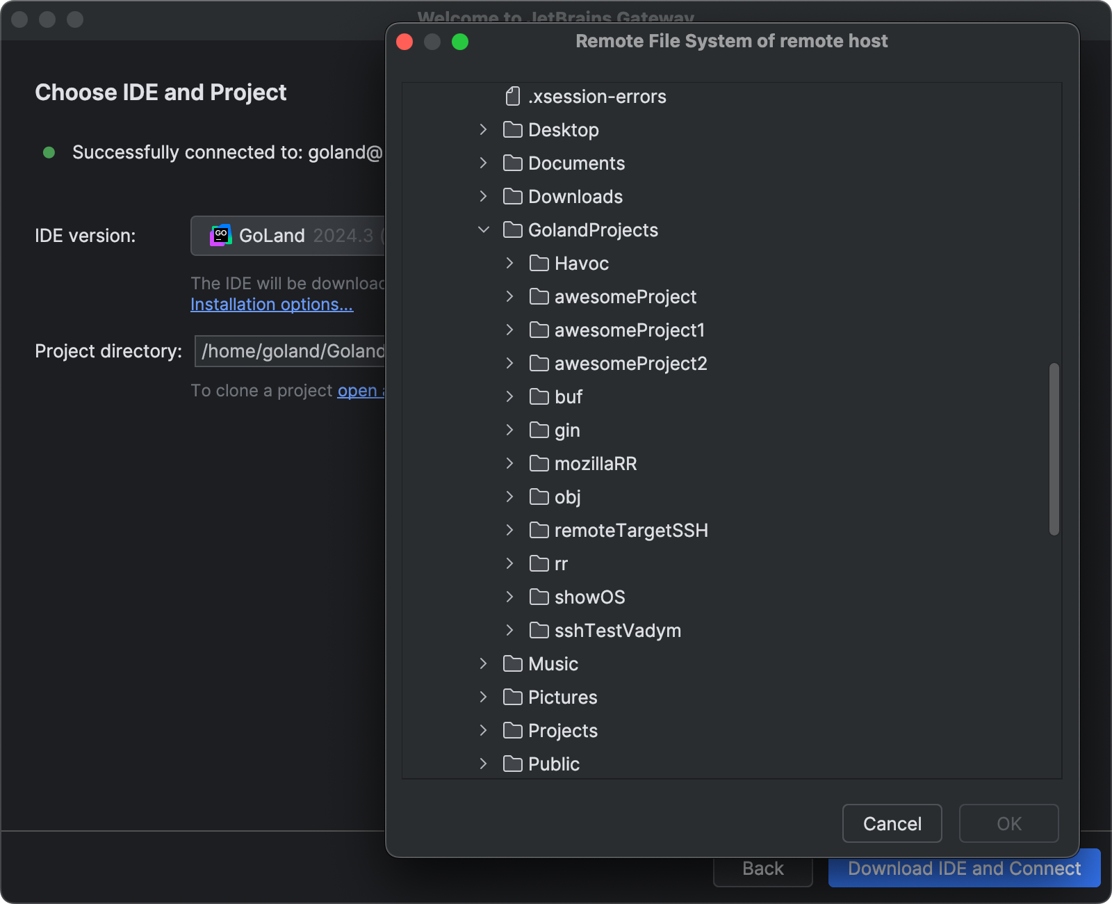 Path to remote project Path to remote project