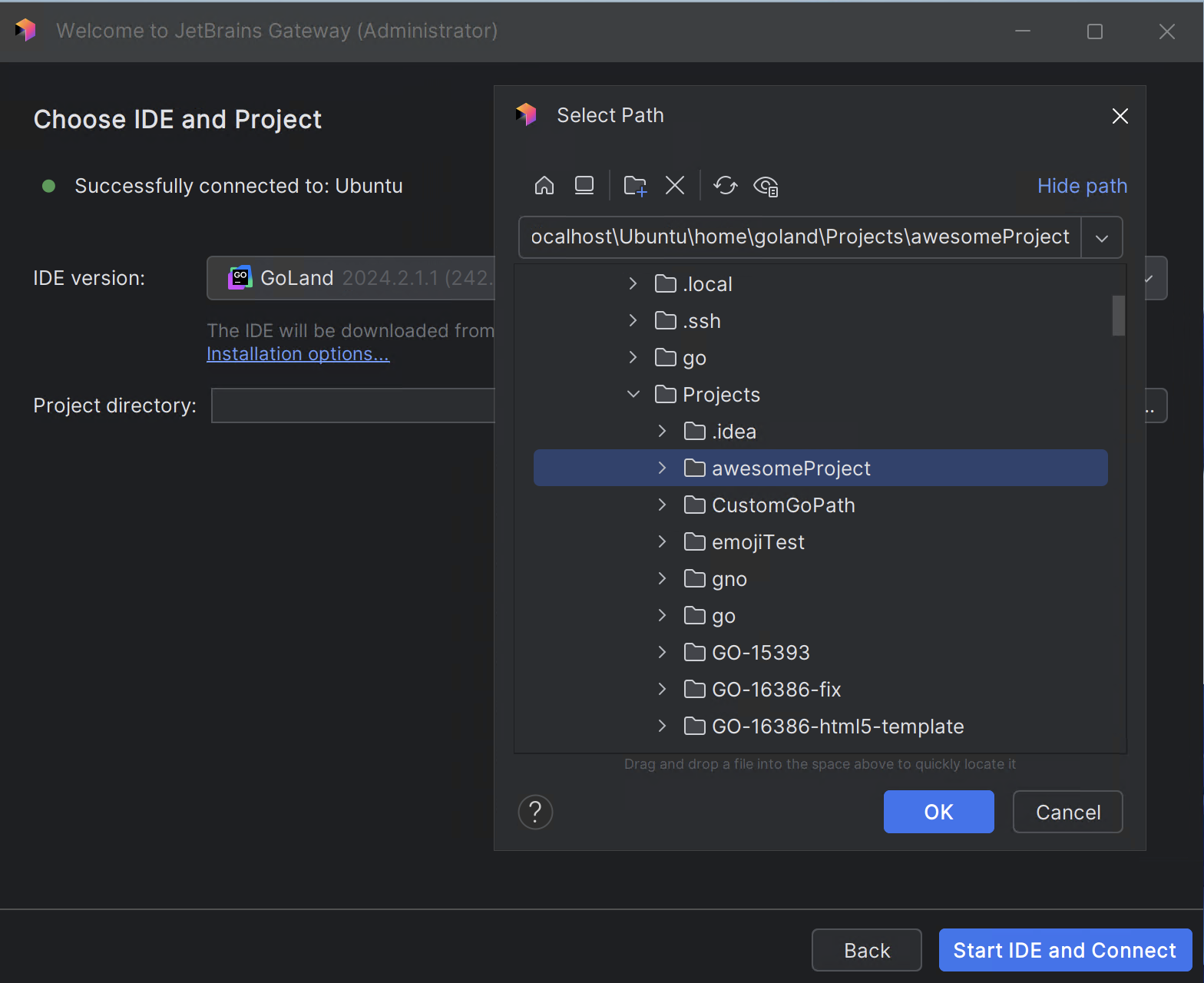 Choose the IDE version and a project Choose the IDE version and a project