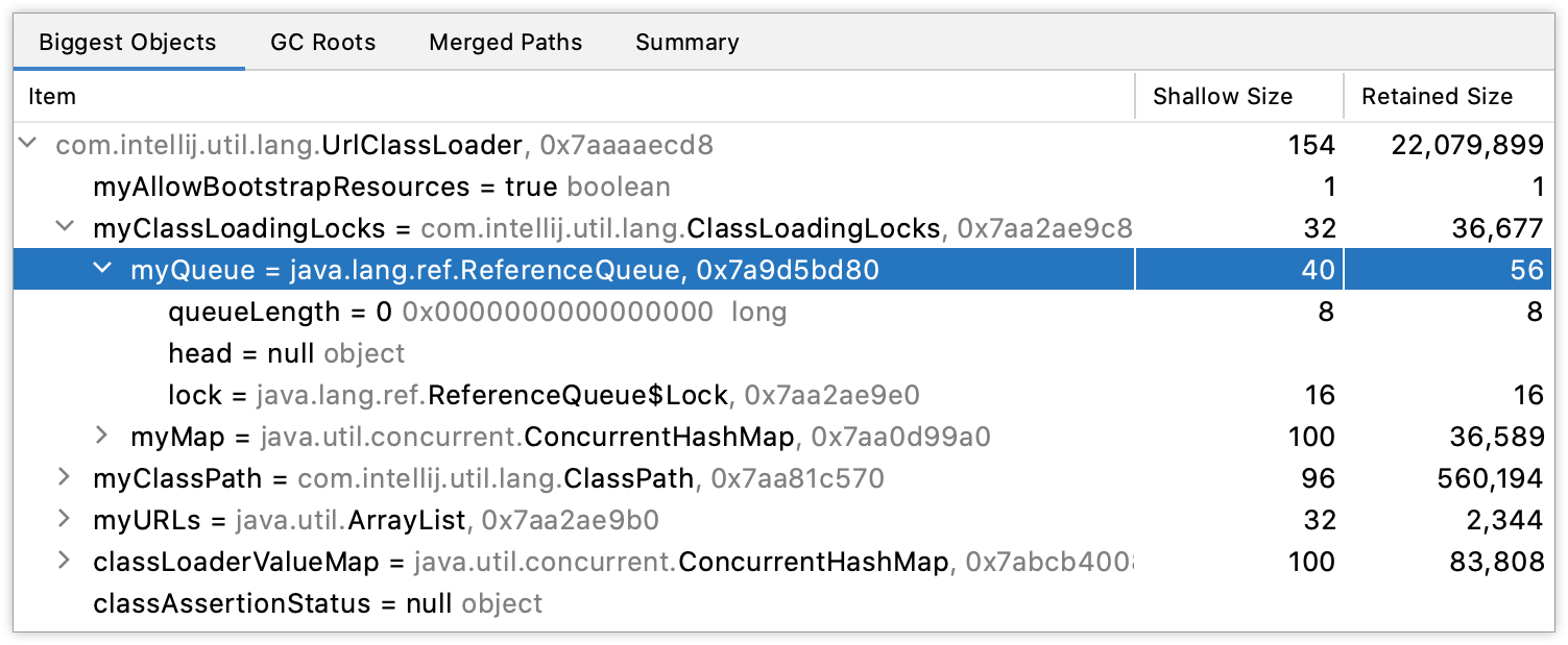 最大对象选项卡上显示的信息