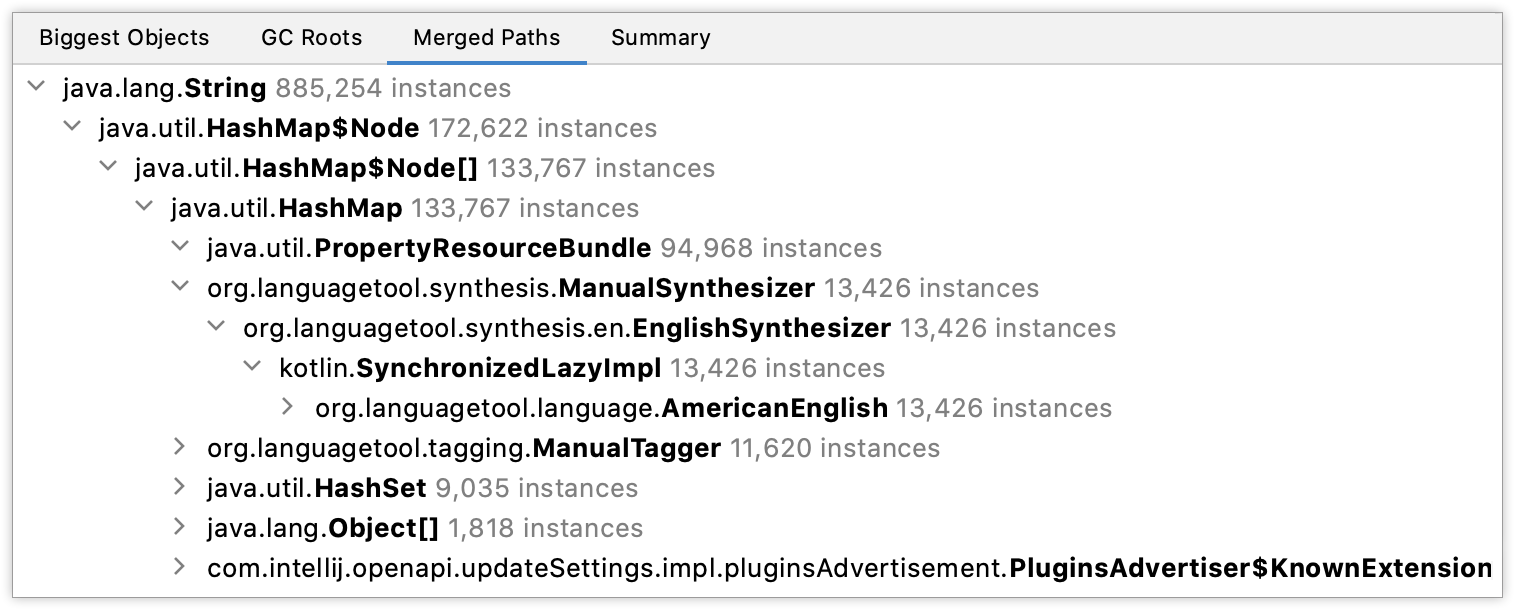 显示在 Merged Paths 选项卡上的信息