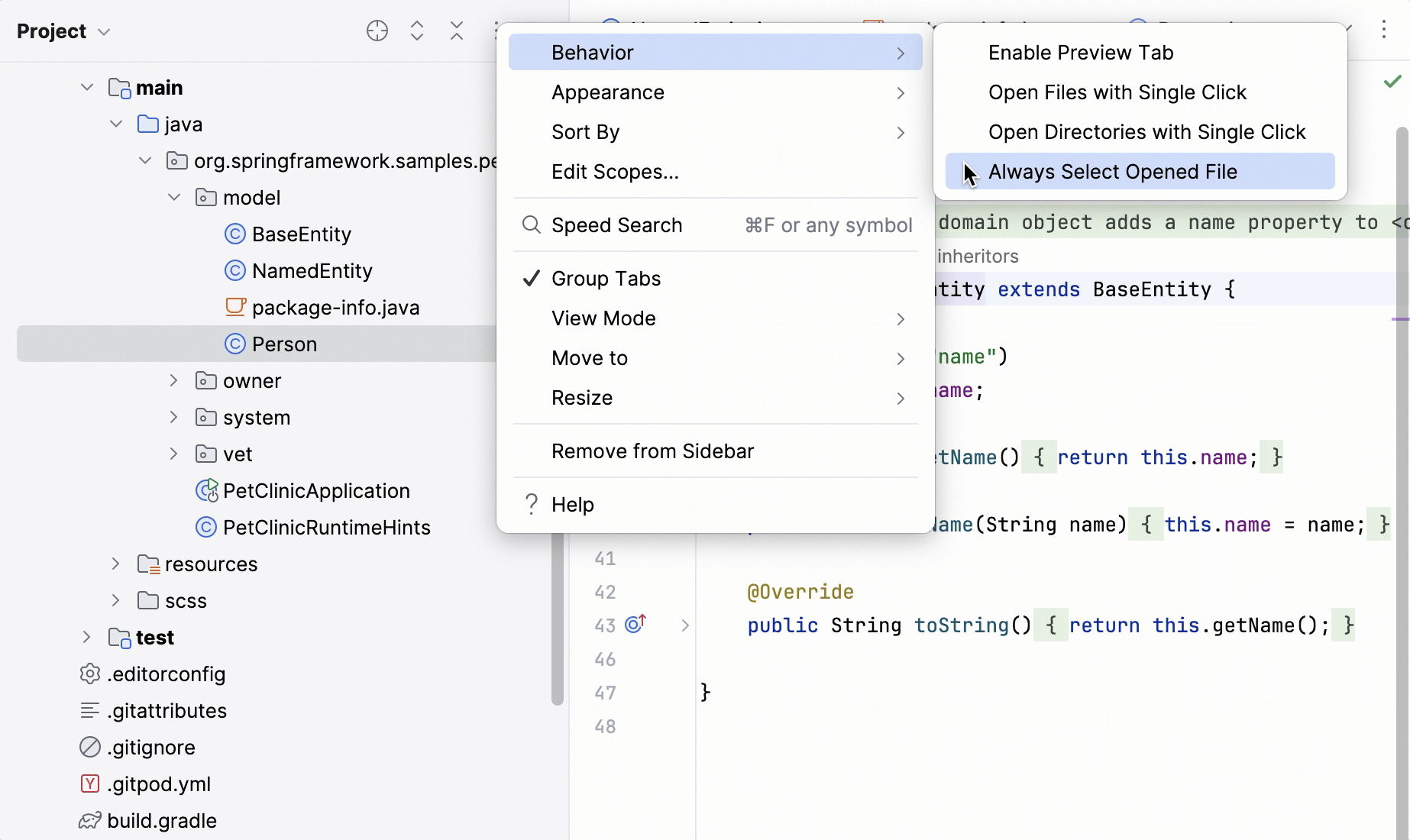 始终选择已打开的文件选项