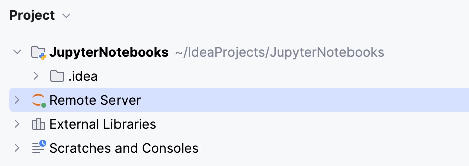 Project View 面板中的远程服务器