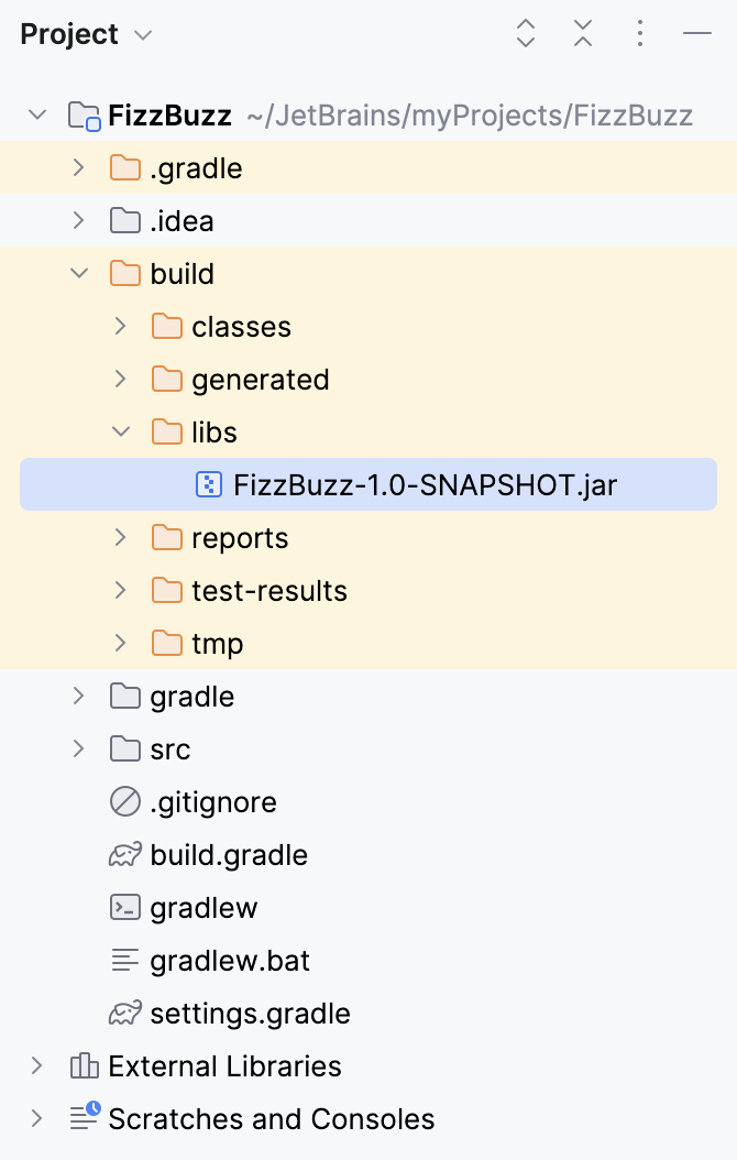 Project 工具窗口：build 目录