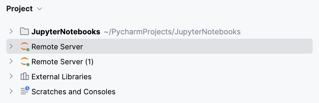 Remote server in the Project View panel