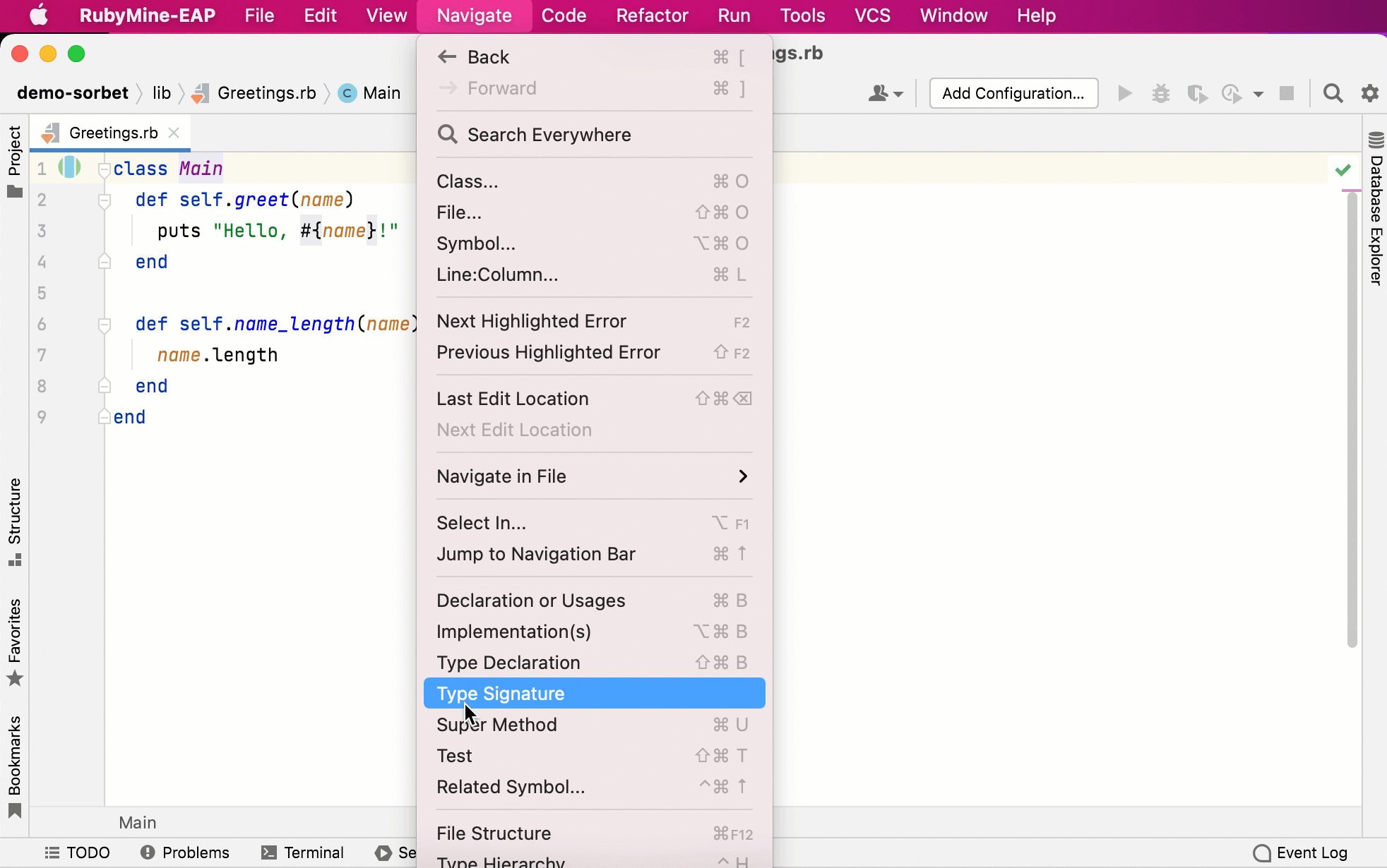 导航到 RBI 文件