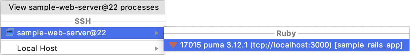 附加到远程进程 附加到远程进程