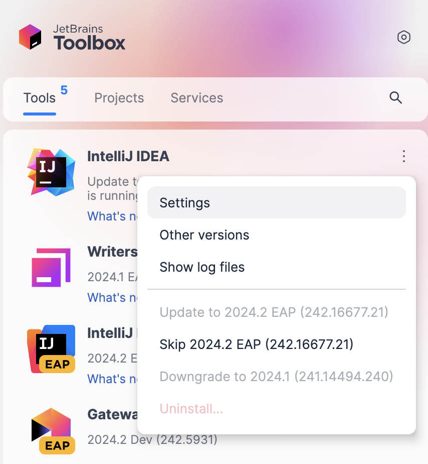 在 Toolbox App 中打开 IDE 实例设置