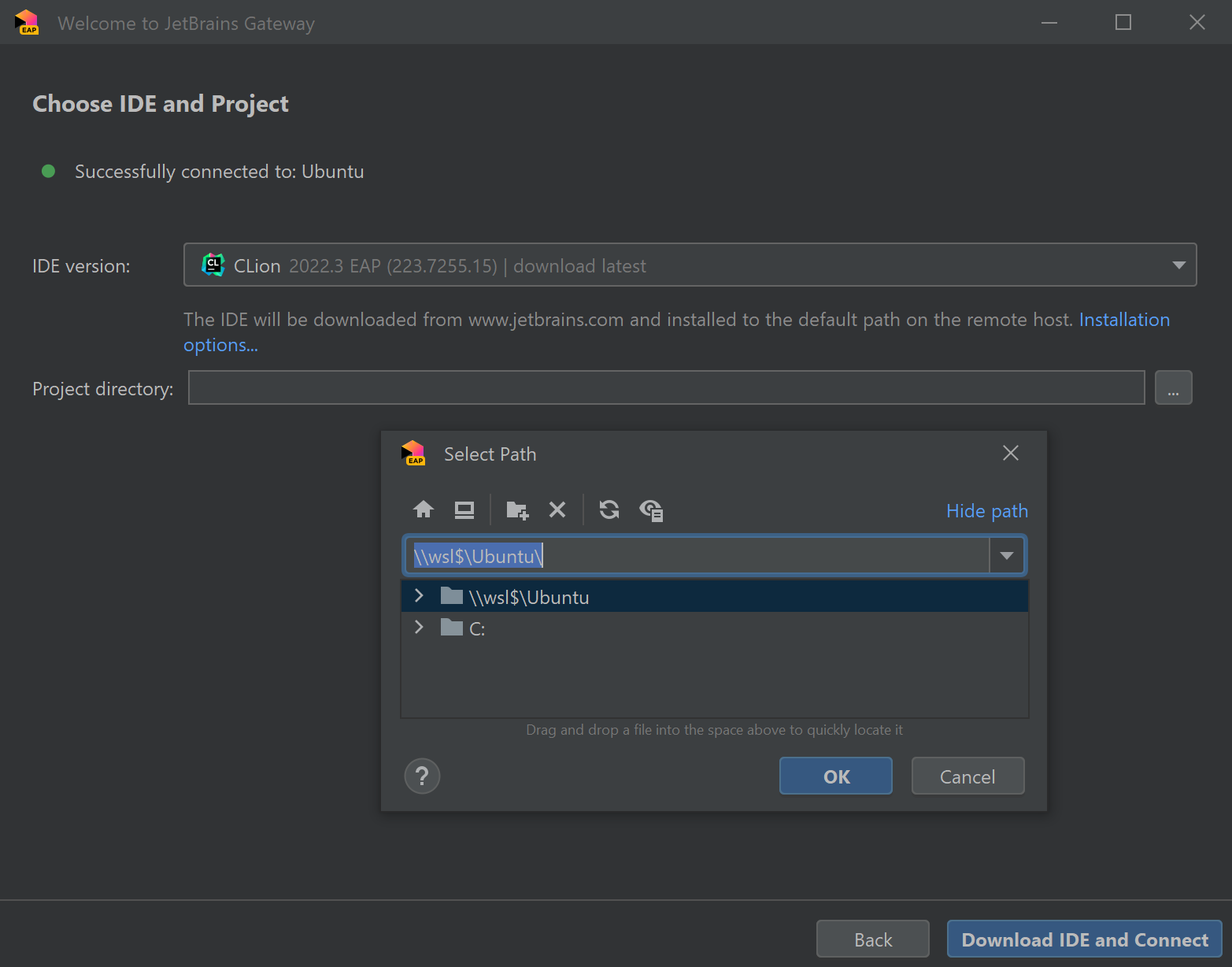选择 IDE 版本和项目