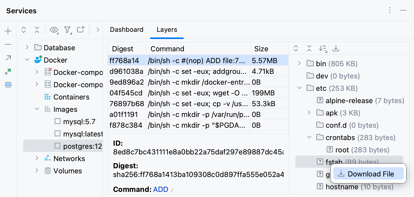 从 Docker 层中打开文件