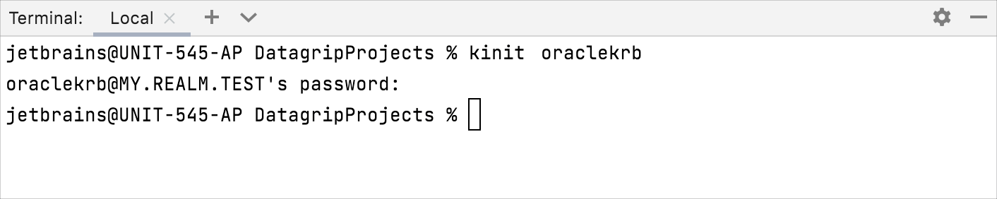 在命令提示符中运行 kinit