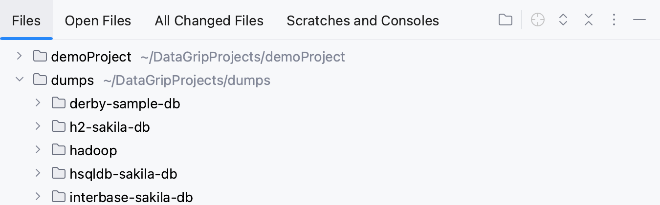 启用分组标签选项的文件工具窗口
