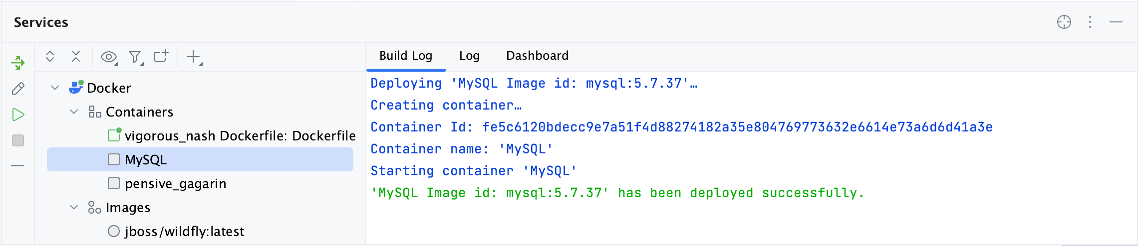 在服务工具窗口中选择的容器的构建日志选项卡