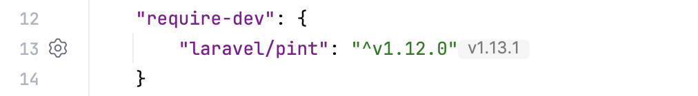 composer.json 中用于 laravel_pint 设置的边栏图标