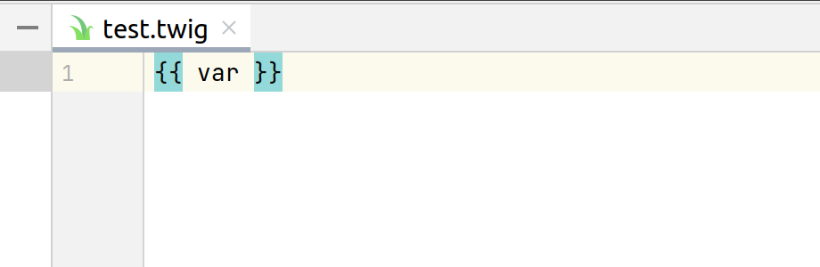 启用 Twig 分隔符编辑