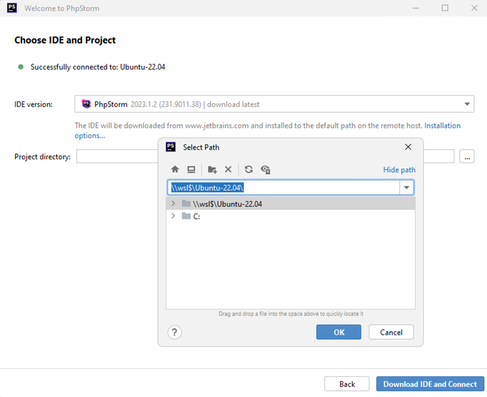 Choose the IDE version and a project Choose the IDE version and a project
