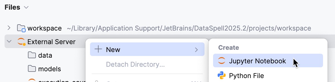 Add a remote server file