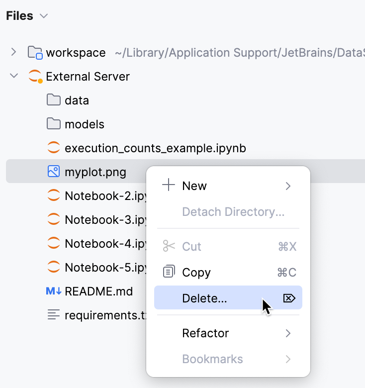 Delete remote server file