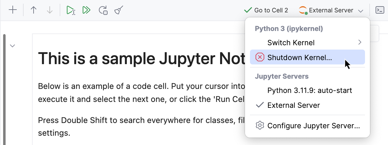Manage Jupyter notebook servers | PyCharm Documentation