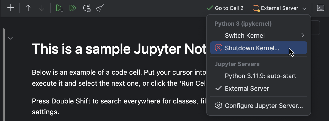 Manage Jupyter notebook servers | PyCharm Documentation