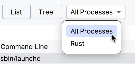 A list of debugger to attach A list of debugger to attach