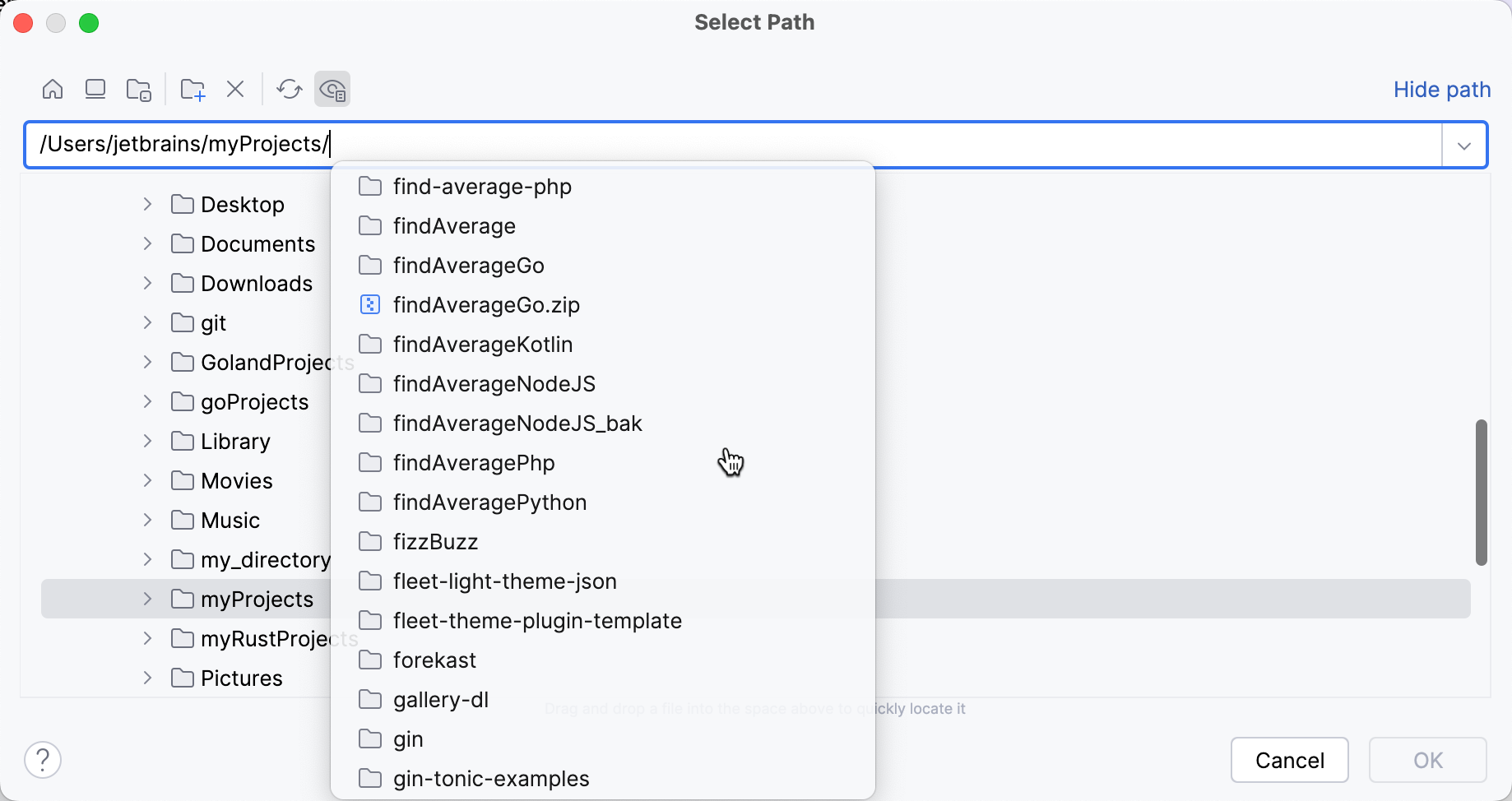 the Select Path dialog the Select Path dialog