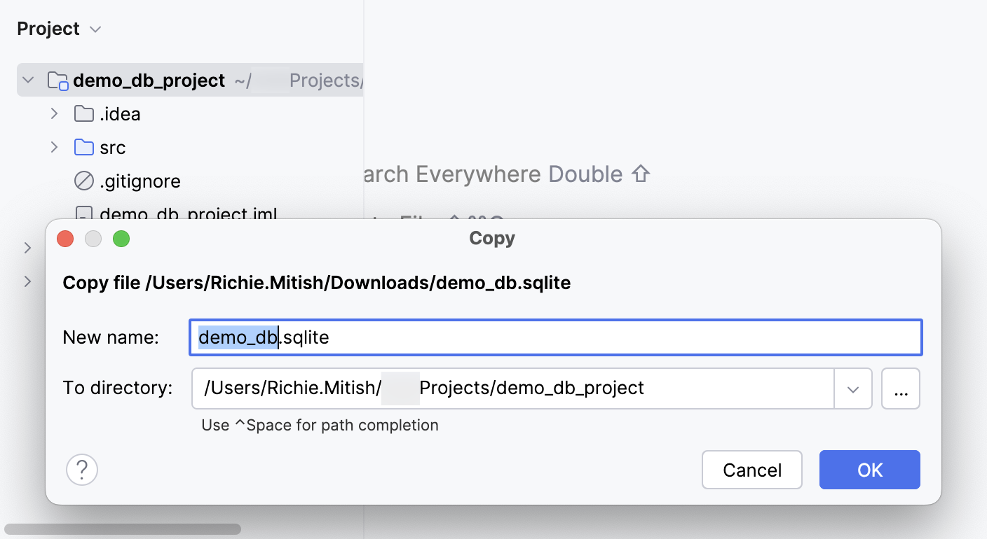 将数据库文件粘贴到项目工具窗口