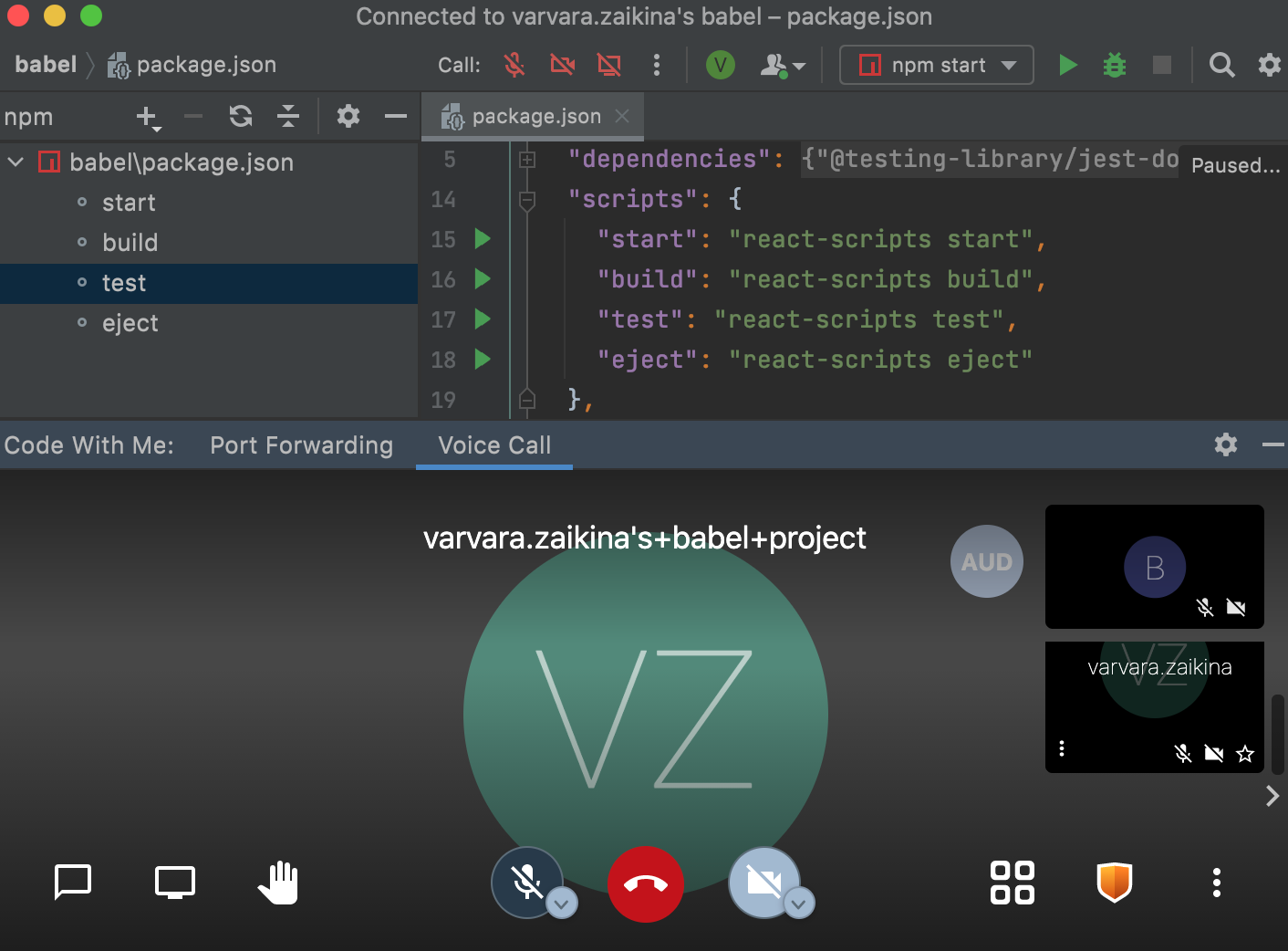 npm 工具窗口 Code With Me 来宾 npm 工具窗口 Code With Me 来宾