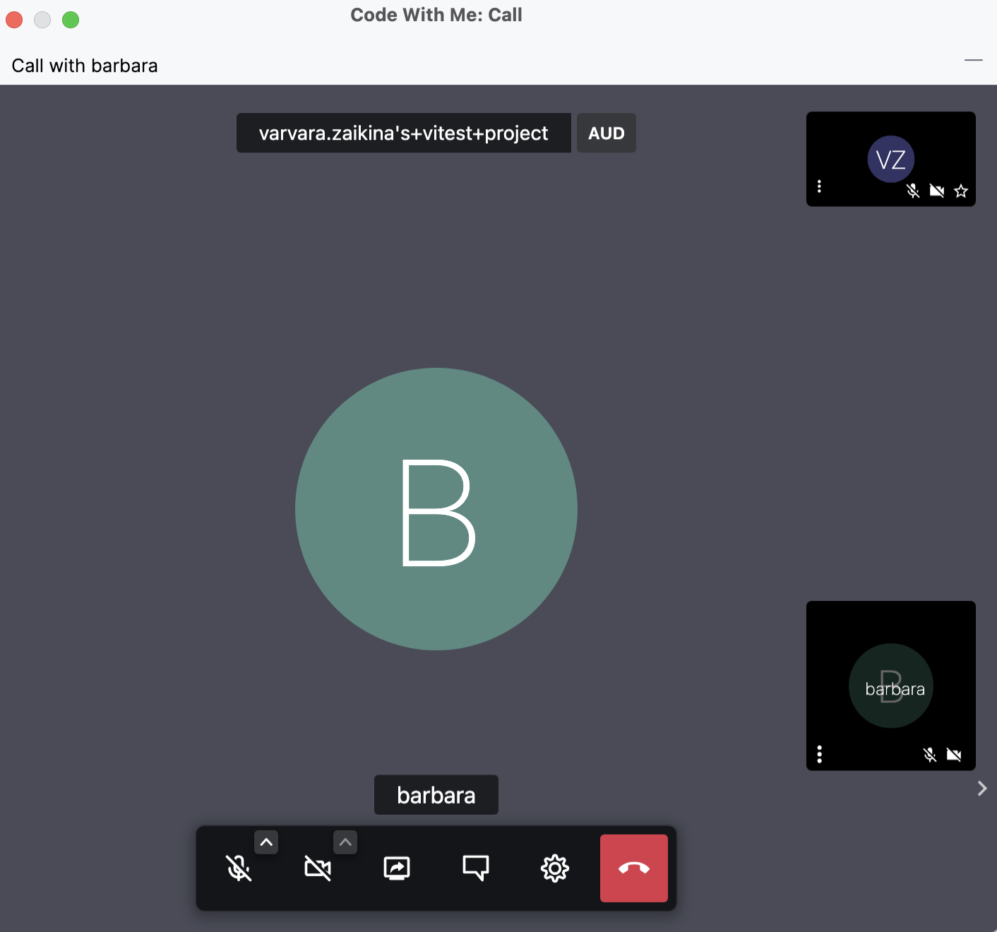 Code With Me 工具窗口